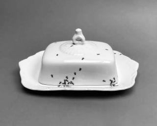 Kreativní design, který přináší přírodu do kuchyně! 🐜🍽️ Tento porcelán s motivem mravenců je skvělým příkladem, jak může...